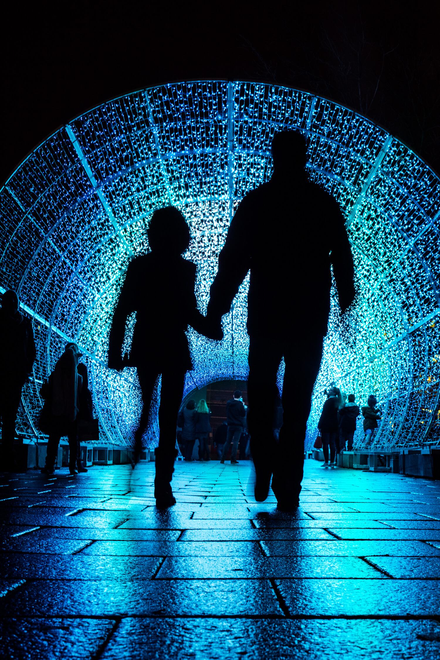 Norwich Tunnel of light-13
