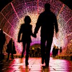 Norwich Tunnel of light-14