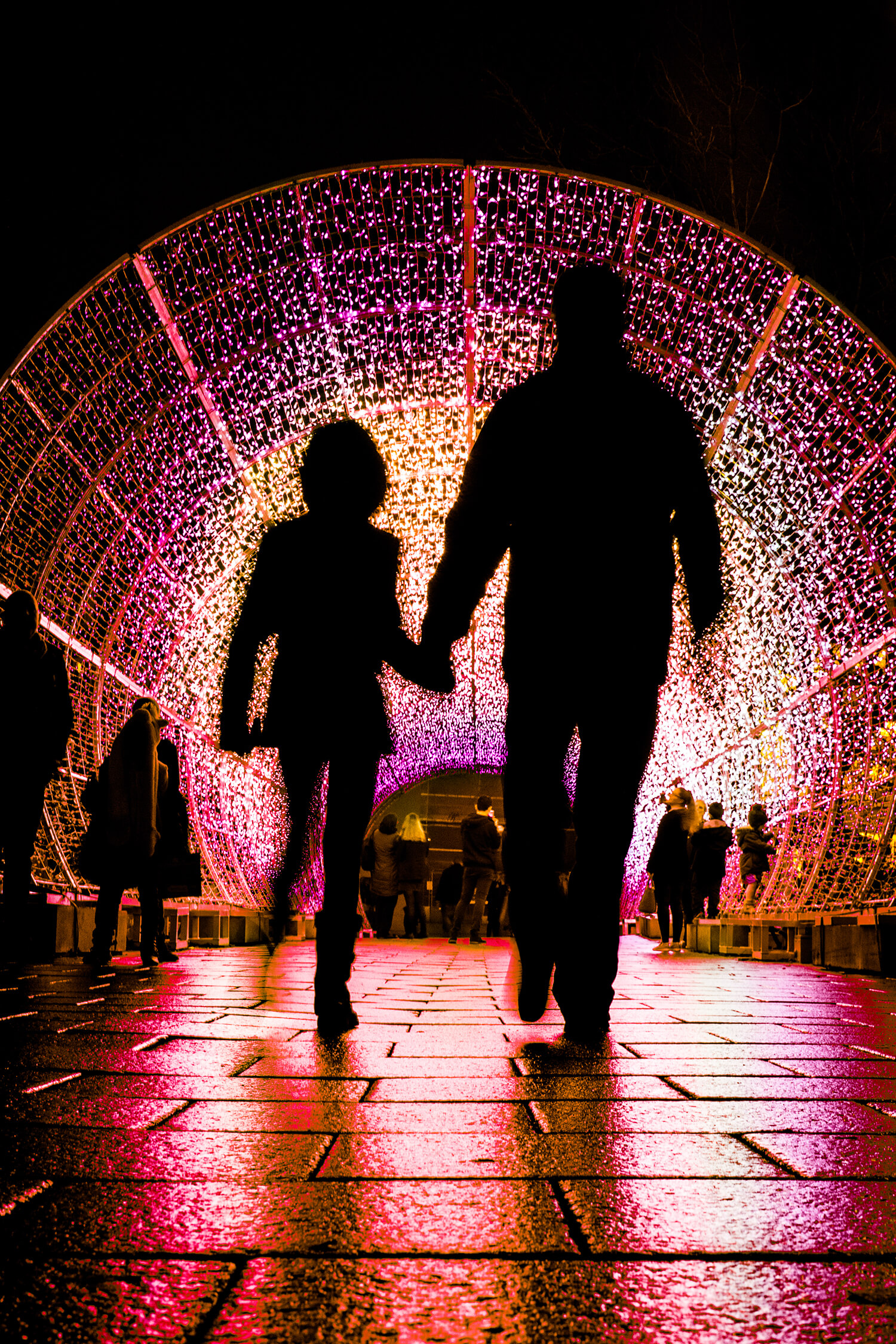 Norwich Tunnel of light-14