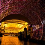 Norwich Tunnel of light-19