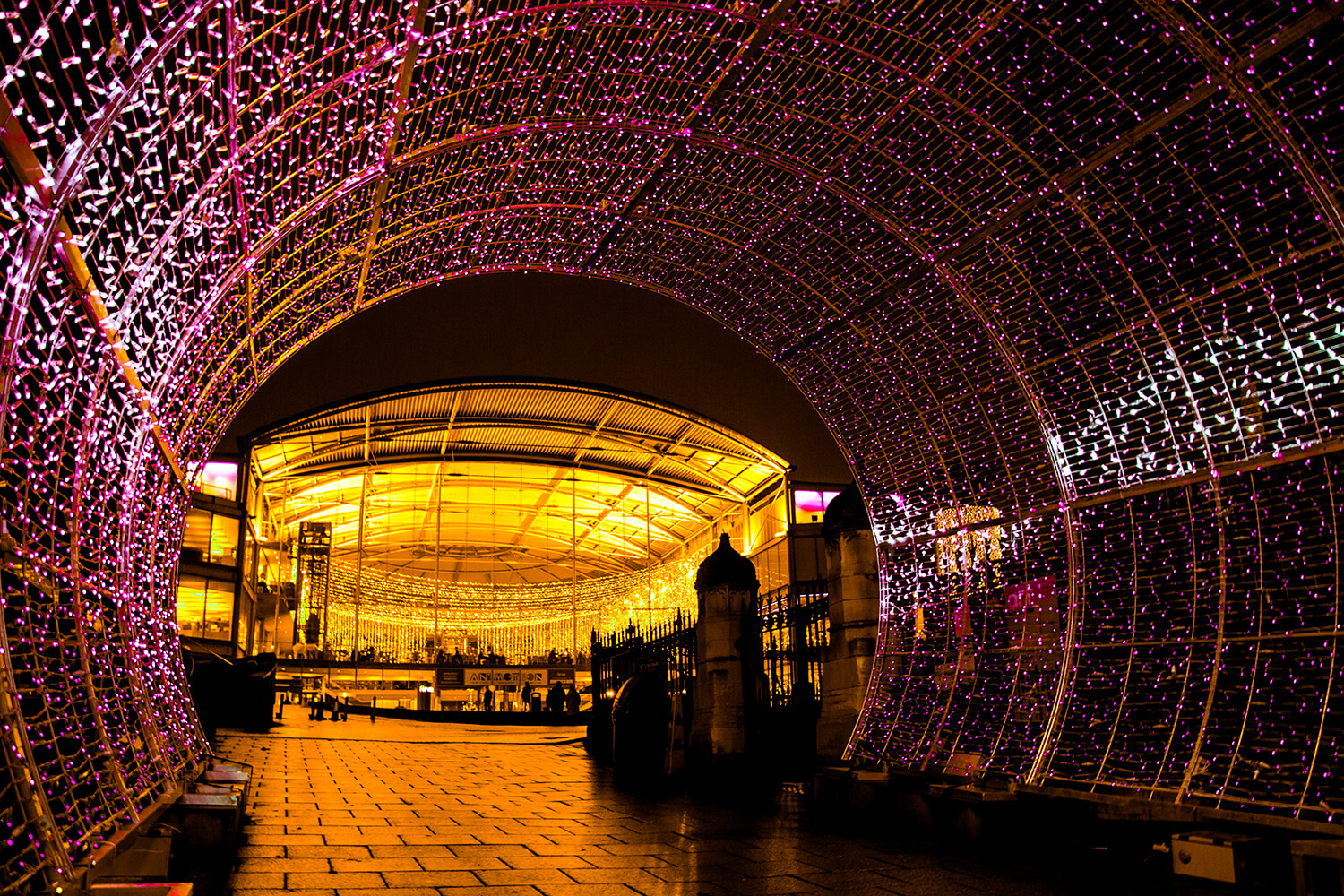 Norwich Tunnel of light-19