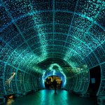 Norwich Tunnel of light-22