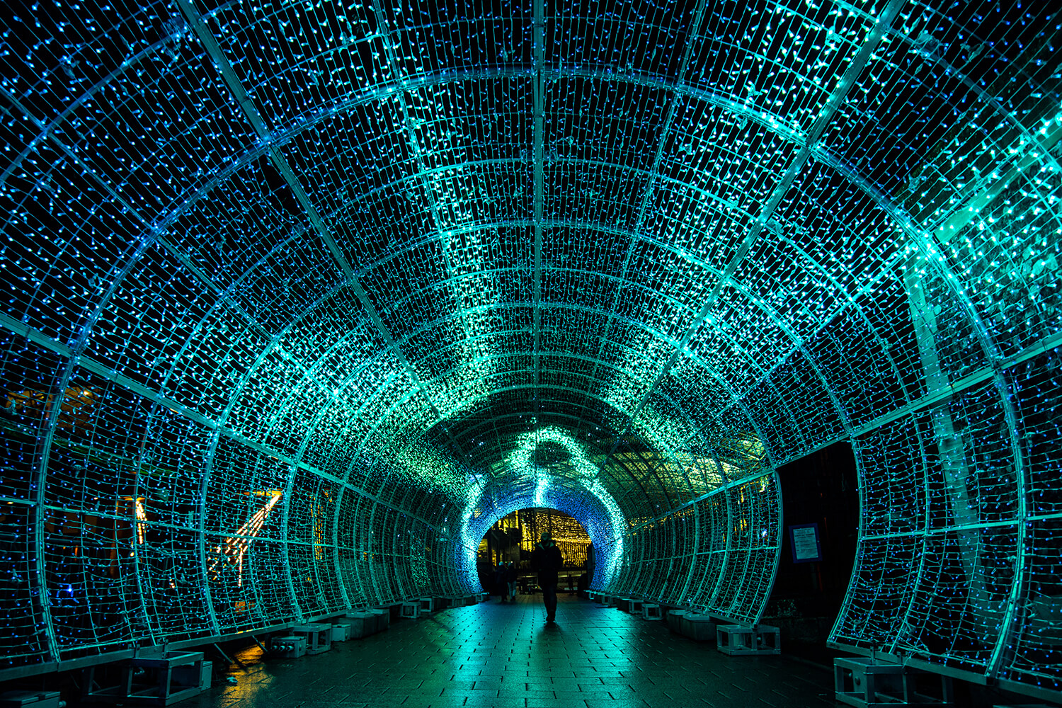 Norwich Tunnel of light-22