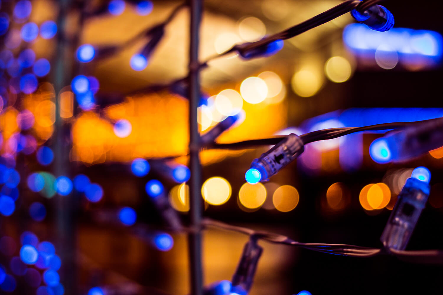 Norwich Tunnel of light-25