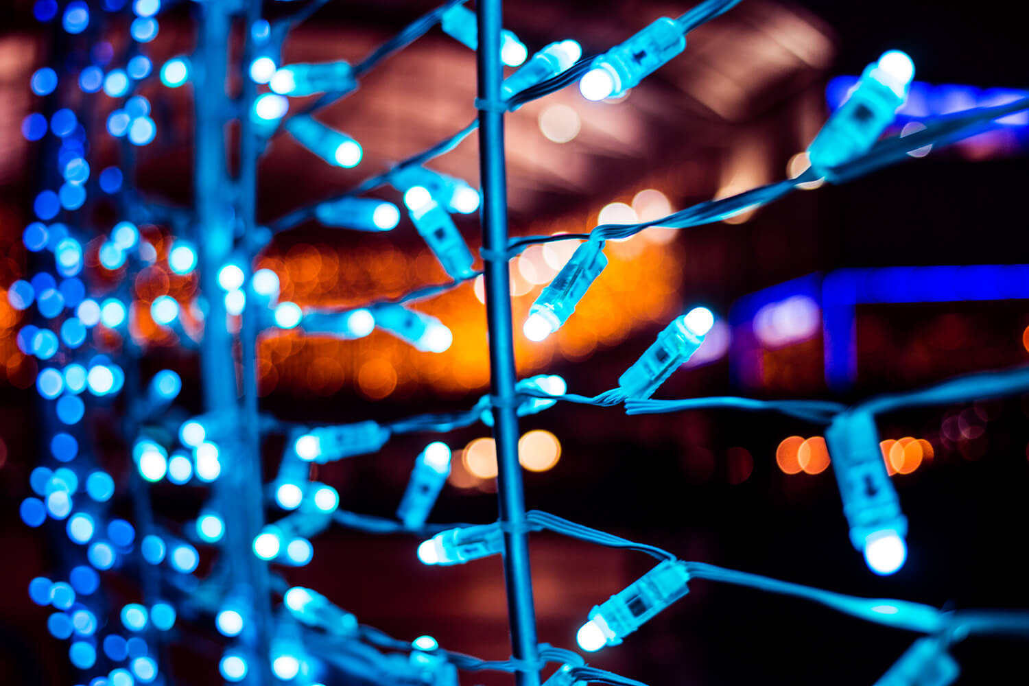Norwich Tunnel of light-26
