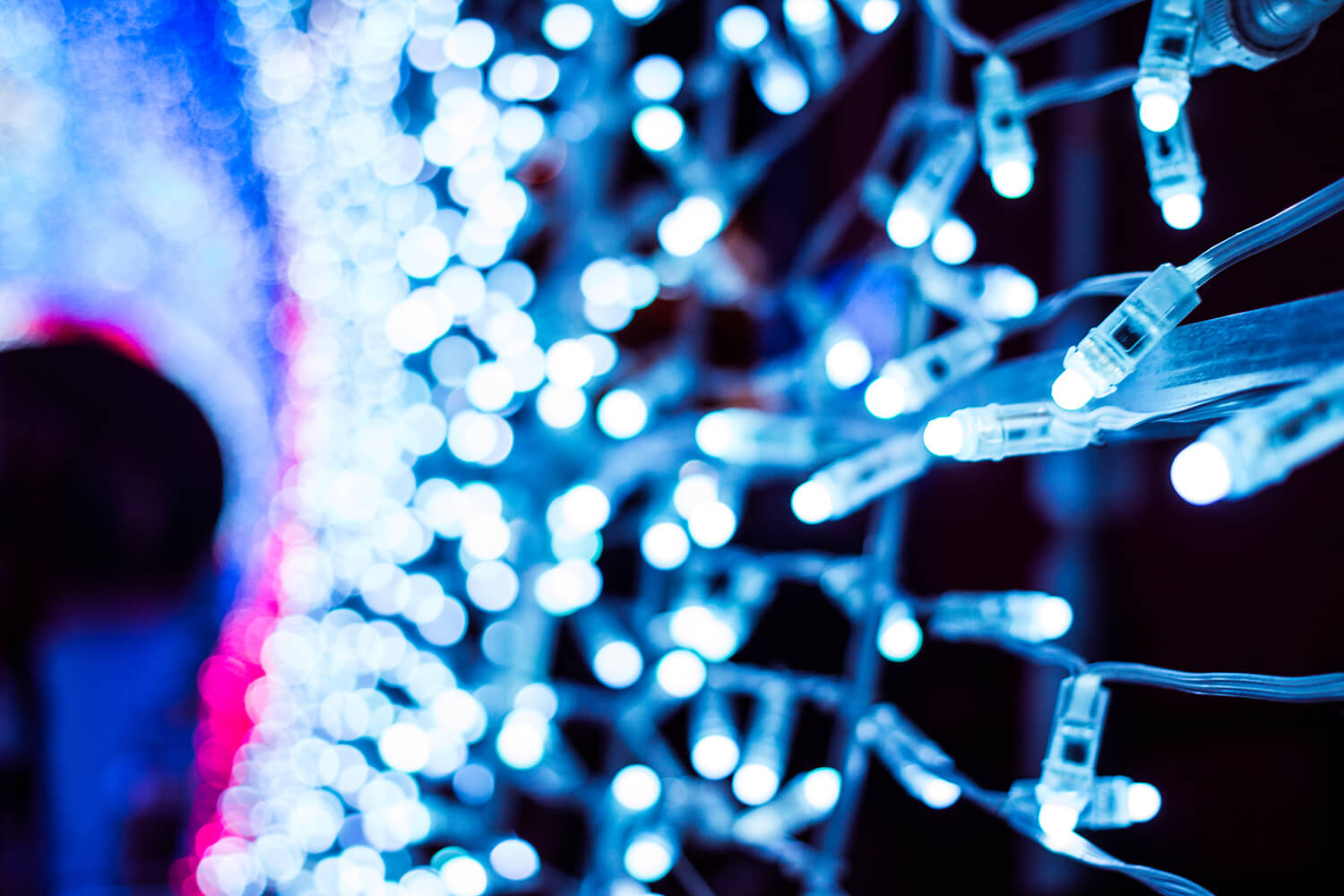 Norwich Tunnel of light-27