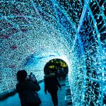 Norwich Tunnel of light-4 (2)