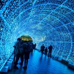 Norwich Tunnel of light-8