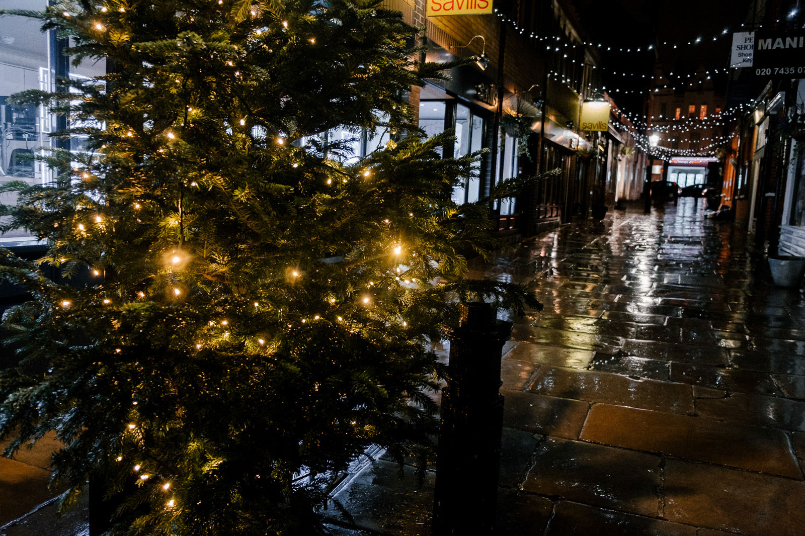 Hampstead Christmas Tree
