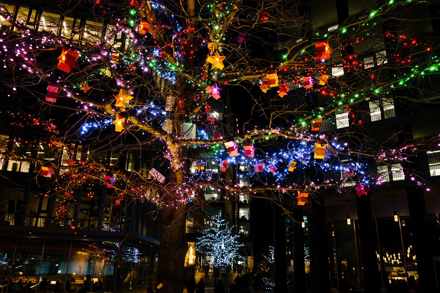 festive tree lit up