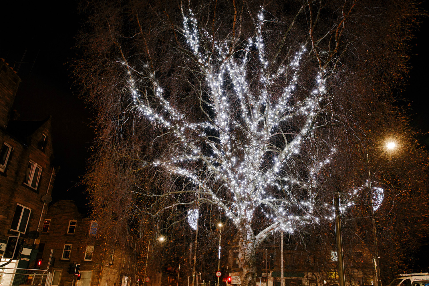 Perth Tree