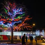 Lit up festive tree