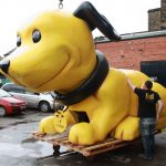dogs-trust-024
