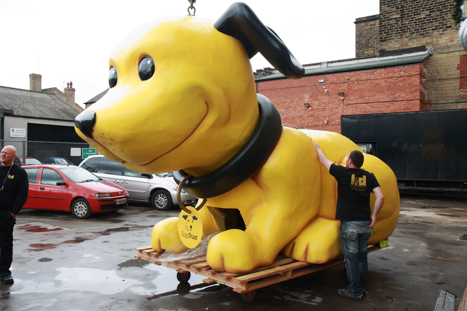 dogs-trust-024