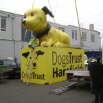 dogcilla dog trust