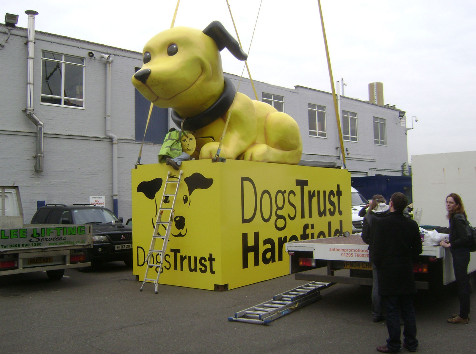 dogcilla dog trust