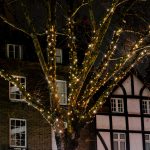 tree_2