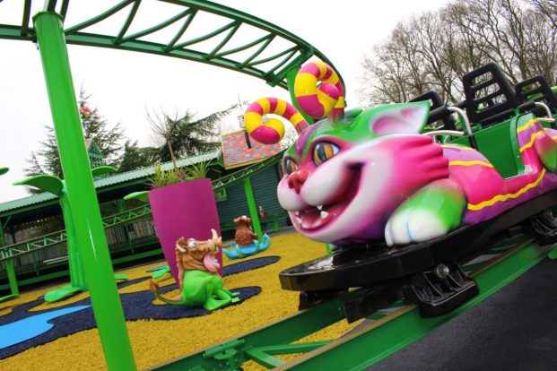 cat-o-pillar ride