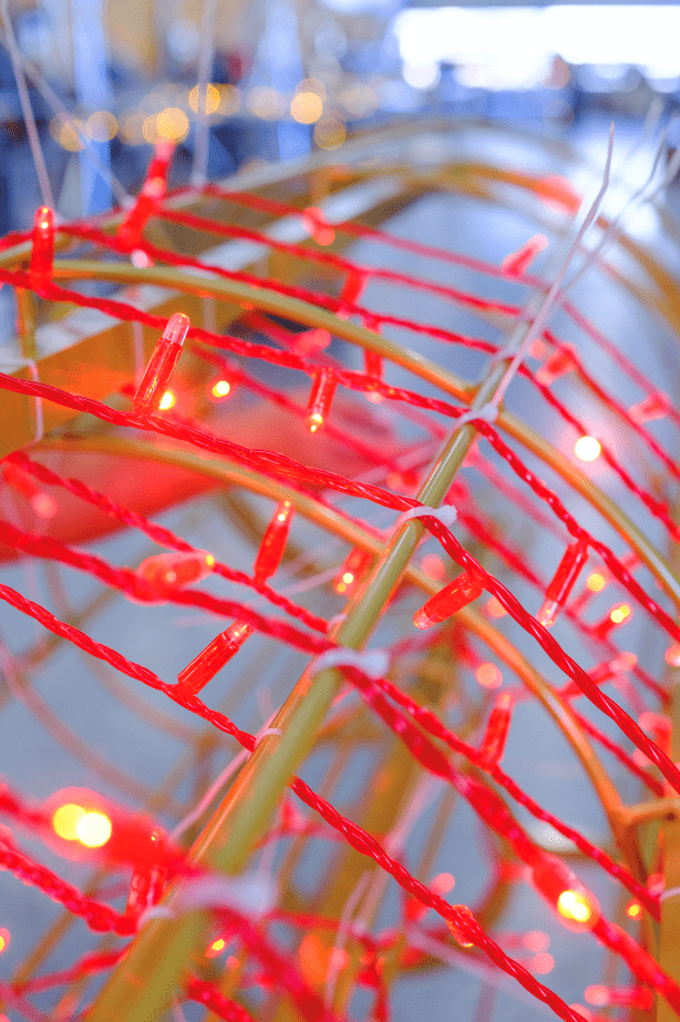 Innovations & Materials